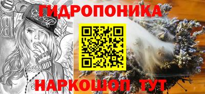 крисы Пушкино