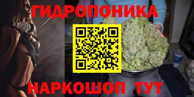 крисы Пушкино